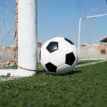 投注策略研究场景